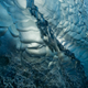 Illustration for article titled Photographer Documents Melting Icecaps, Celebrates Our Cyborg Evolution